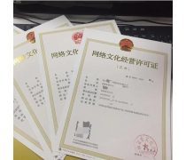 網(wǎng)絡文化經(jīng)營中的產(chǎn)品庫構建與管理